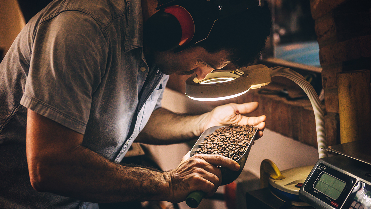 judging roasted coffee beans