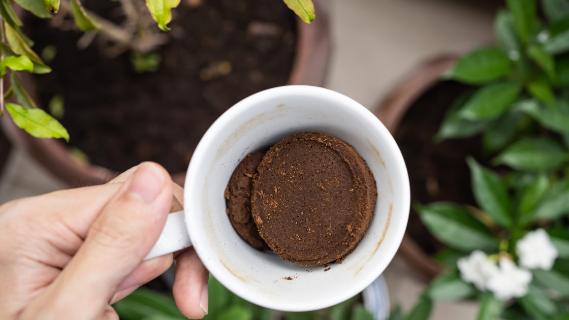 recycled coffee grounds