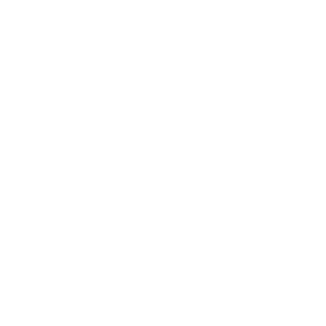 House Light Roast